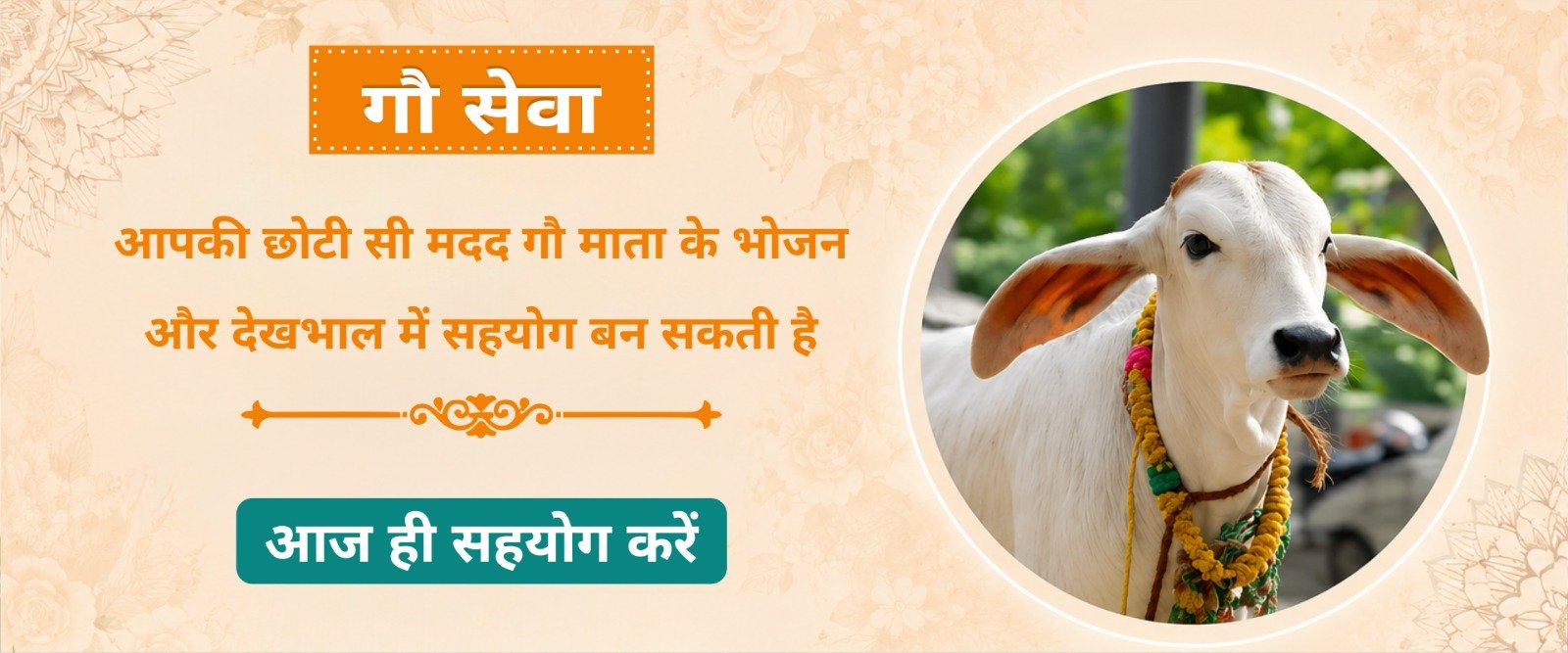 WhatsApp Image 2026-05-06 at 6.32.53 PM