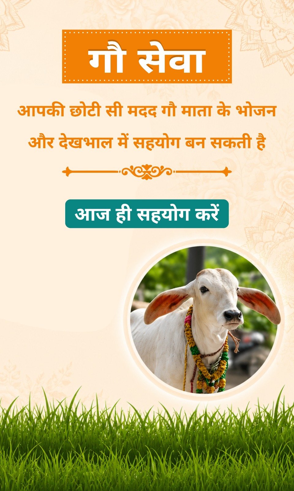 WhatsApp Image 2026-05-06 at 6.52.49 PM